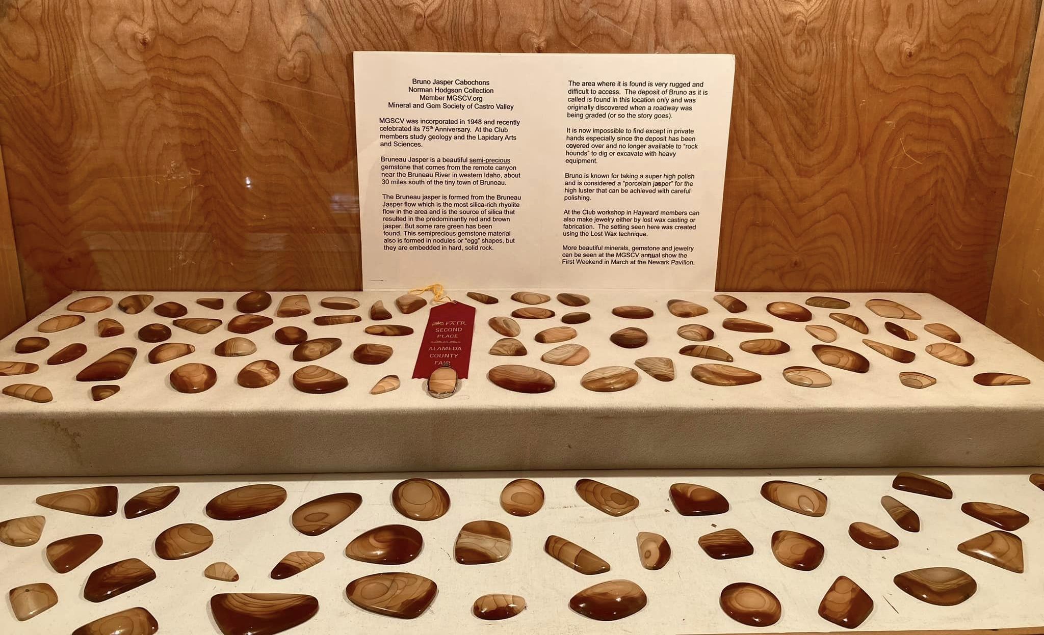 Norm Hodgson's Bruno Jasper Display.